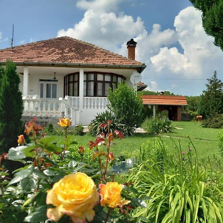 Apartmani Cosic Kursumlija Exteriér fotografie