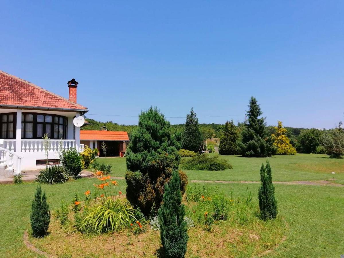 Apartmani Cosic Kursumlija Exteriér fotografie