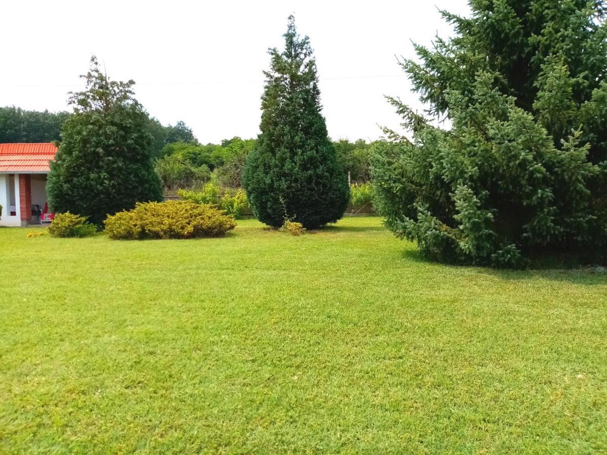 Apartmani Cosic Kursumlija Exteriér fotografie