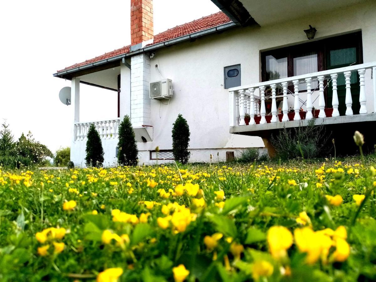 Apartmani Cosic Kursumlija Exteriér fotografie
