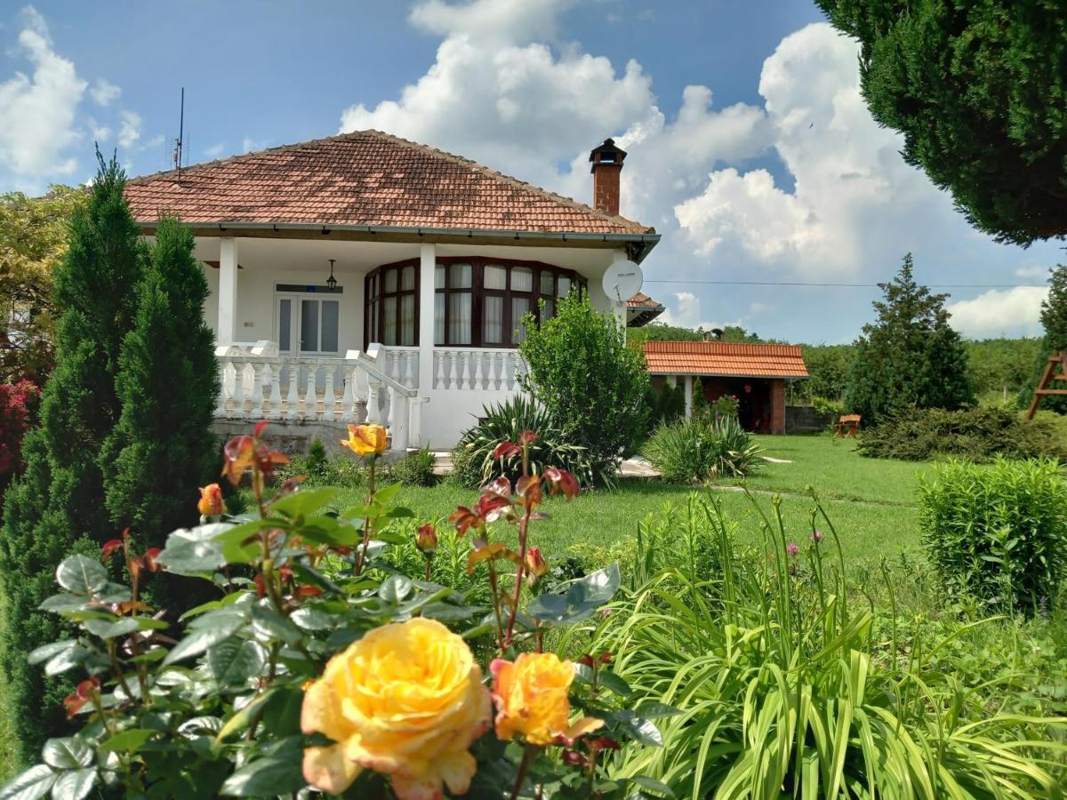 Apartmani Cosic Kursumlija Exteriér fotografie
